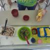 Whaleshark Lunch 1