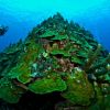 Curacao underwater 1