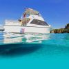 ocean encounters diving