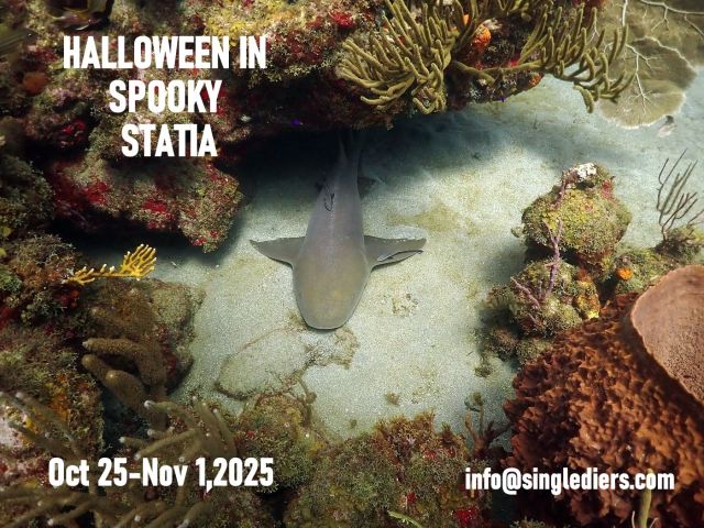 2025 POSTER SHARKjpg