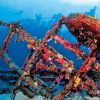 St Eu Underwater 3