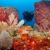 St Eu underwater 4