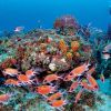 St Eu underwater 5