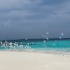 DHANGETHI 7