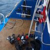 divedeckcamerasfins