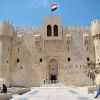 alexandria 8