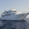 Red Sea 9