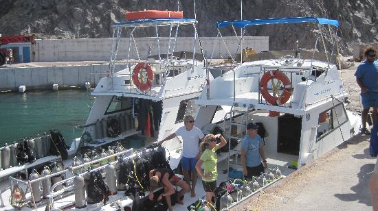 gallery_6057_410_38832.jpg