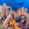 Explorer Ventures STM 4507 1000x500.jpg 2