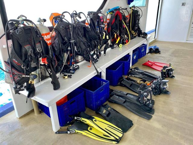 dive dhoni emperor explorer (1)