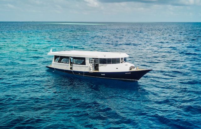 Leaf dhobi 01B.McAteer