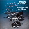 2026 Maldives Mantas Poster
