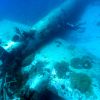 Betty Bomber