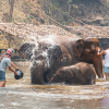 CHANG MAI 8