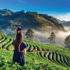 CHANG MAI 10