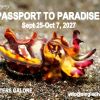 2027 Poster lembeh CUTTLEFISH