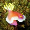 murex dive resort (5)