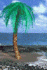 Palmtree_beach.gif