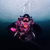 Learning to dive...again! - last post by ScubaGypsy