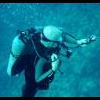 Octopus Encounter in Aruba - last post by ScubaTex