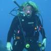 DIVE HEALTHY - last post by Diversitea