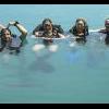 SingleDivers.com Members to be featured on CNN "News to Me" program - last post by finGrabber