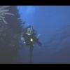 "Making Out" Underwater - last post by randy54