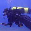 Arizona Single Divers - last post by TXAggieDiver