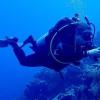 Finding Cave diving buddies for a single diver - last post by diverdeb