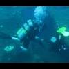 Dive the Oriskany - last post by techintime