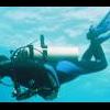 Jean-Michel Cousteau: Ocean Adventures - last post by Basslet
