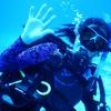 Sea wolf's Photo