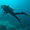 ROATAN: Who's All Going on This Trip??? Please introduce yourself! (EVEN If a veteran SDer!) - last post by BubbleChick