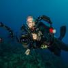 Bonaire 2017: Are You Getti... - last post by SeaSiren320