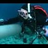 Dive Mistakes ?? - last post by uwfan