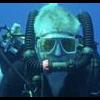 Fiber optic vs TTL - last post by sharktracker