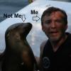 Bonaire 2019: Are you getting the Trip PM & How to Find Trip PM Updates - last post by Deep Thought