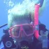 St. Croix 2018: Are you getting the Trip PM & How to Find Trip PM to see Updates - last post by TinyDiveBubbles