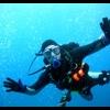 fldiverbob's Photo