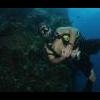 You know you're a scuba diver when.... - last post by Jake Blues