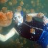 How about a Liveaboard to T... - last post by Scuba Dave