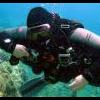 AAUS Scientific Diving Courses - last post by Rumblebee