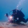 SAVE THE DATES & NOTIFY... - last post by Scuba Queen