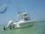 Shark tooth dive in Venice, FL - last post by Diverrite