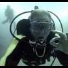 China to ban shark fin soup - last post by TexasDiver