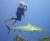 warm water only diver's Photo