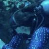 New to SingleDivers.com from Oregon - last post by Blowing Bubbles