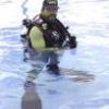 David L's Photo