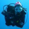 Night Diving in Galapagos... - last post by AnemoneAmy