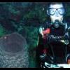FreeDiving featured on CBS 60 Minutes this Sunday after NFL Playoffs - last post by ScubaTurtle